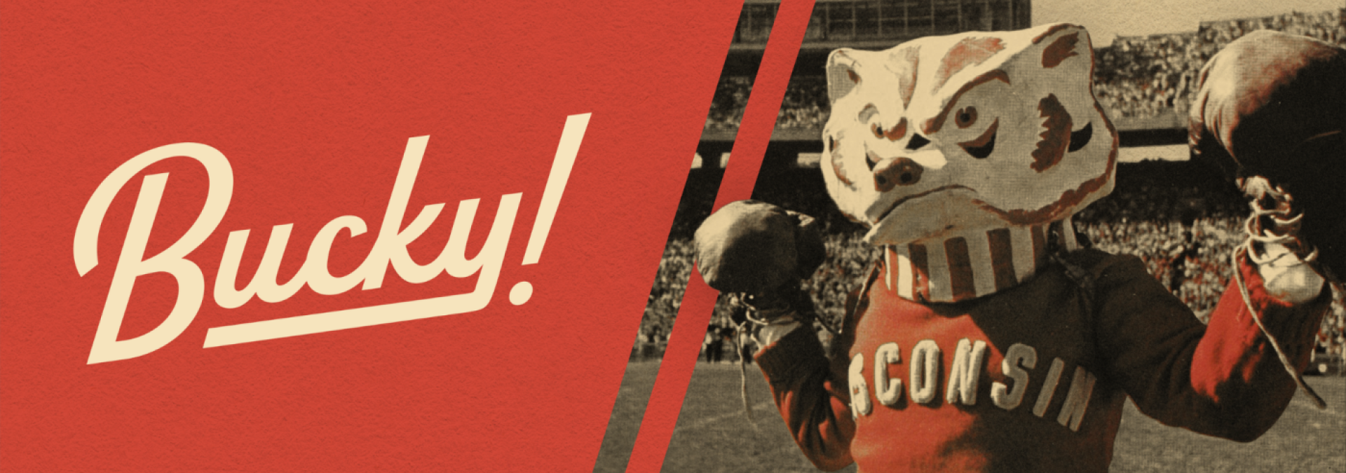 Bucky Web Banner
